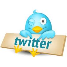 twitter bird 3.jpg